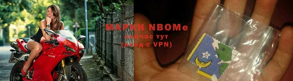индика Краснослободск