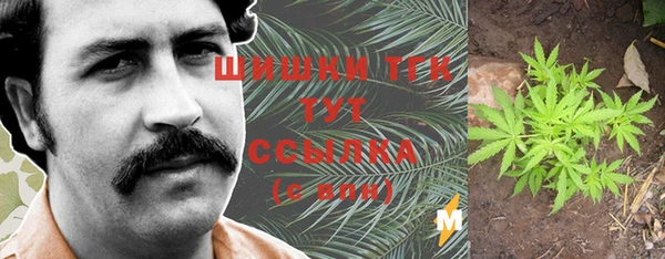 индика Краснослободск