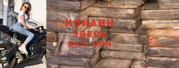 индика Краснослободск