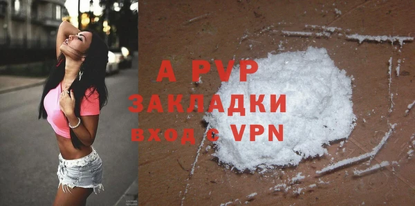 индика Краснослободск