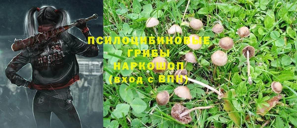 a pvp Красноперекопск