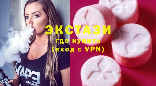 индика Краснослободск