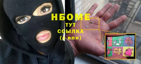 индика Краснослободск