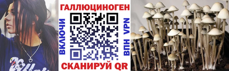 Купить  Пятигорск  Галлюциногенные грибы ЛСД